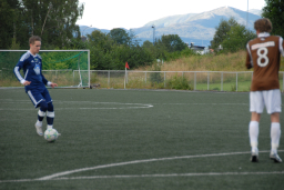 vvileidsvЖg2012 017